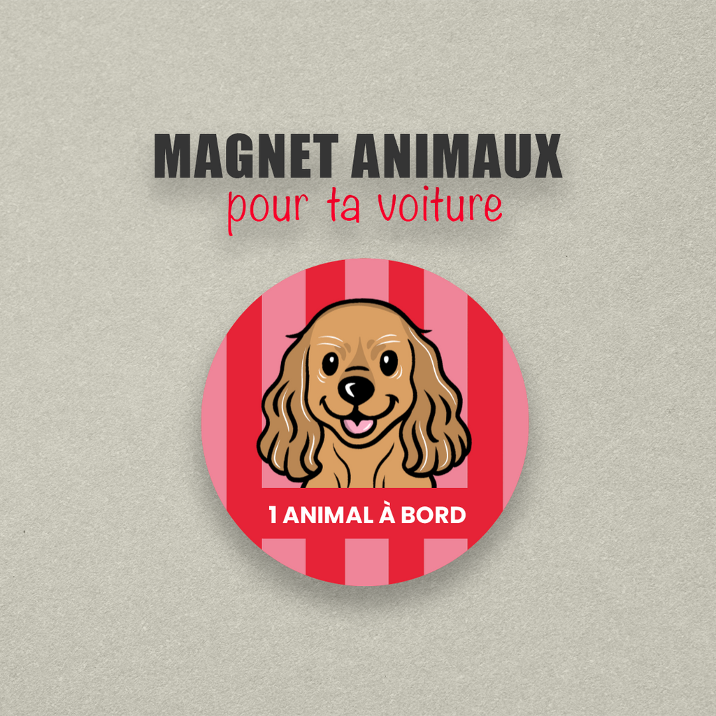 Magnet voiture urgence animal personnalisé – Carte Portefeuille - Illustration Cute/Kawaï sur mesure